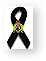 Stacks Image 11329939